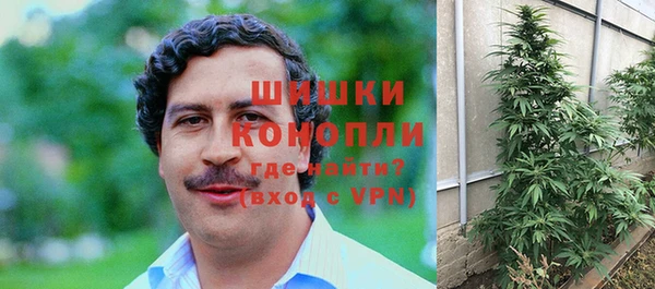 винт Арсеньев