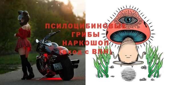 ECSTASY Алексин