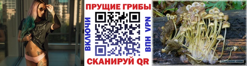 Псилоцибиновые грибы ЛСД Верхний Уфалей