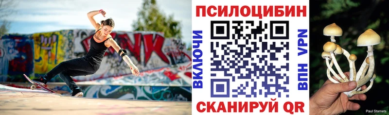 Купить закладки  Верхний Уфалей  Галлюциногенные грибы мицелий 